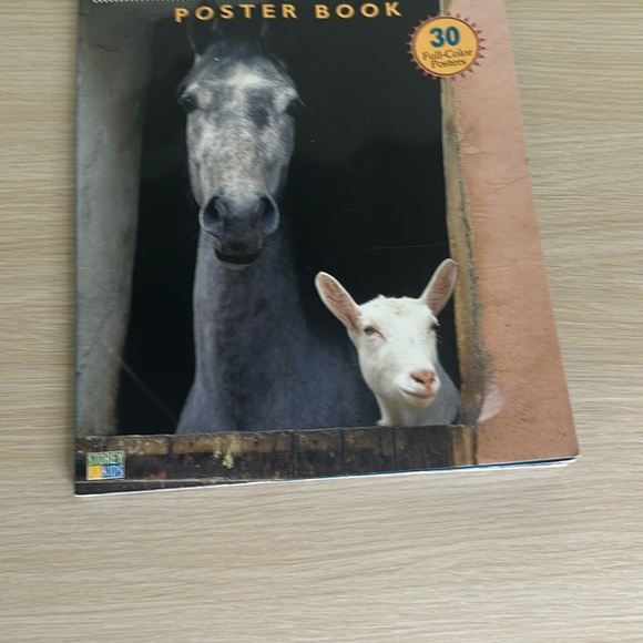 Horses & Friends Poster Book - Picture 4 of 4
